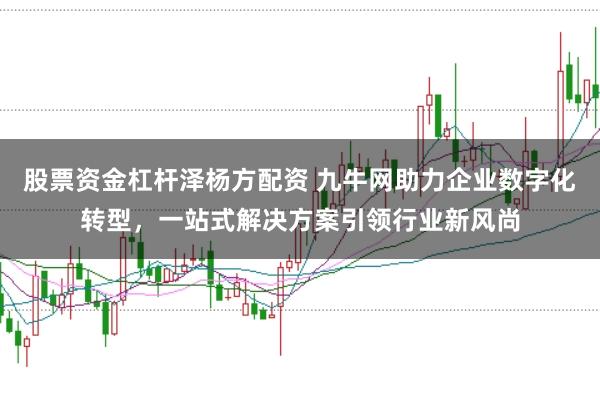 股票资金杠杆泽杨方配资 九牛网助力企业数字化转型，一站式解决方案引领行业新风尚