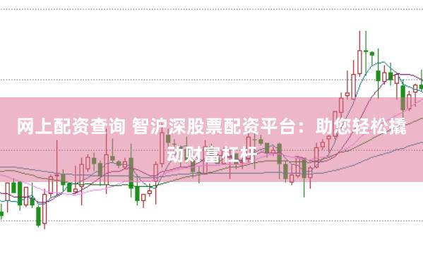 网上配资查询 智沪深股票配资平台：助您轻松撬动财富杠杆