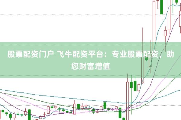 股票配资门户 飞牛配资平台：专业股票配资，助您财富增值