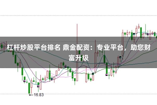 杠杆炒股平台排名 鼎金配资：专业平台，助您财富升级