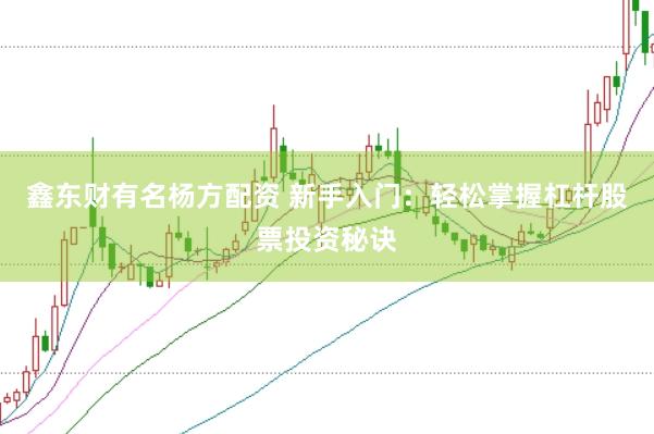 鑫东财有名杨方配资 新手入门：轻松掌握杠杆股票投资秘诀