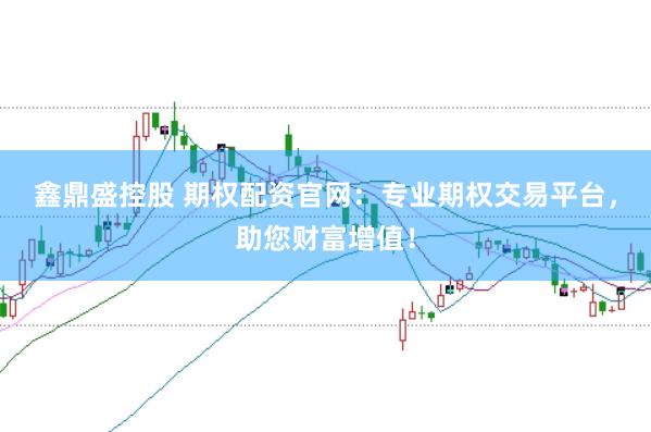 鑫鼎盛控股　 期权配资官网：专业期权交易平台，助您财富增值！