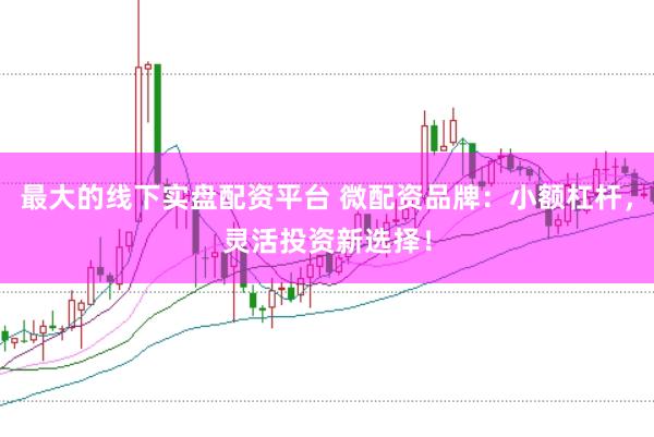 最大的线下实盘配资平台 微配资品牌：小额杠杆，灵活投资新选择！