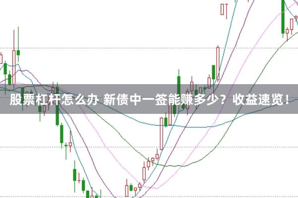 股票杠杆怎么办 新债中一签能赚多少？收益速览！
