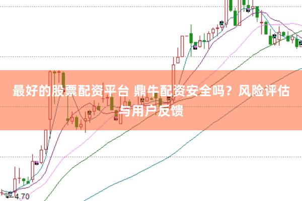 最好的股票配资平台 鼎牛配资安全吗？风险评估与用户反馈