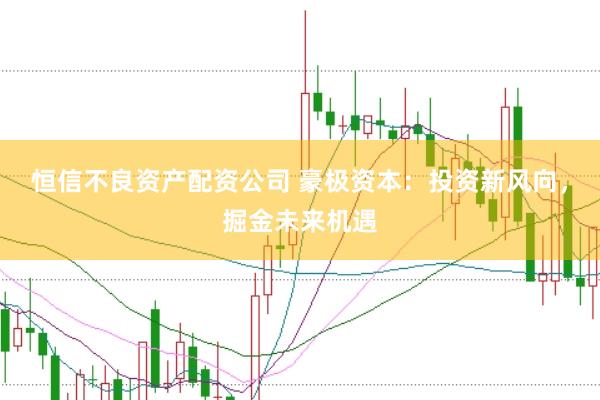 恒信不良资产配资公司 豪极资本：投资新风向，掘金未来机遇