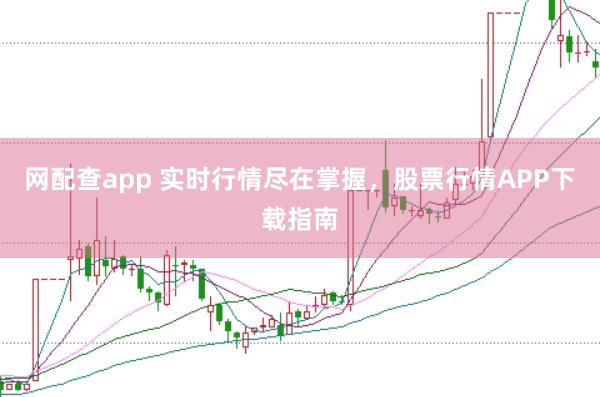 网配查app 实时行情尽在掌握，股票行情APP下载指南