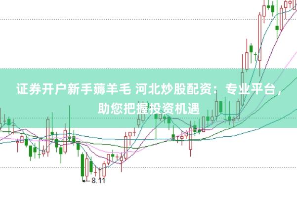 证券开户新手薅羊毛 河北炒股配资：专业平台，助您把握投资机遇