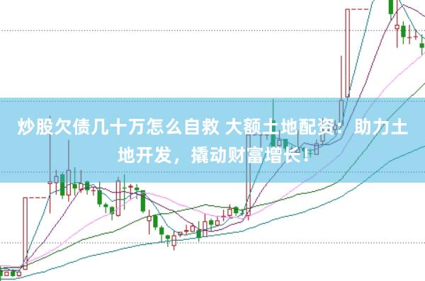 炒股欠债几十万怎么自救 大额土地配资：助力土地开发，撬动财富增长！