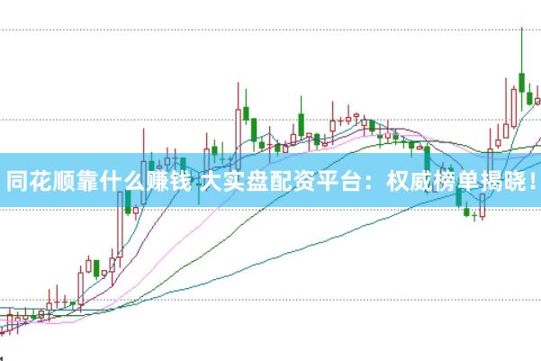 同花顺靠什么赚钱 大实盘配资平台：权威榜单揭晓！