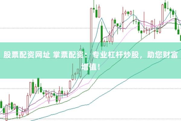 股票配资网址 掌票配资：专业杠杆炒股，助您财富增值！