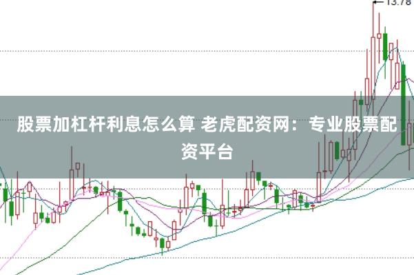 股票加杠杆利息怎么算 老虎配资网：专业股票配资平台