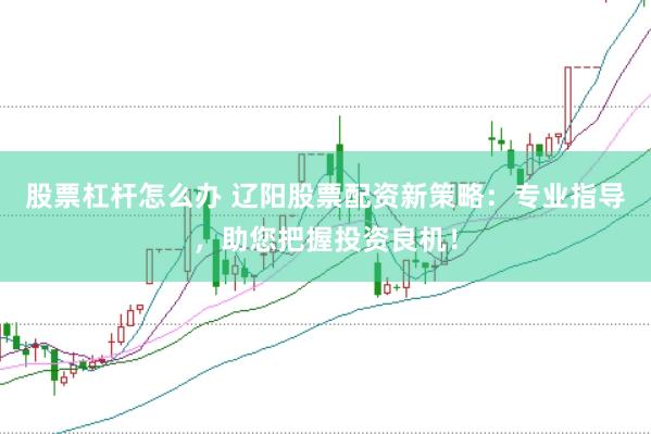 股票杠杆怎么办 辽阳股票配资新策略：专业指导，助您把握投资良机！
