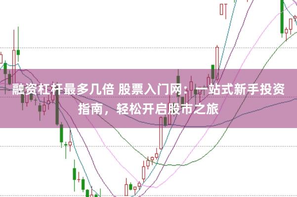 融资杠杆最多几倍 股票入门网：一站式新手投资指南，轻松开启股市之旅