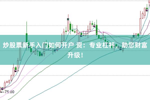 炒股票新手入门如何开户 资:专业杠杆,助您财富升级!