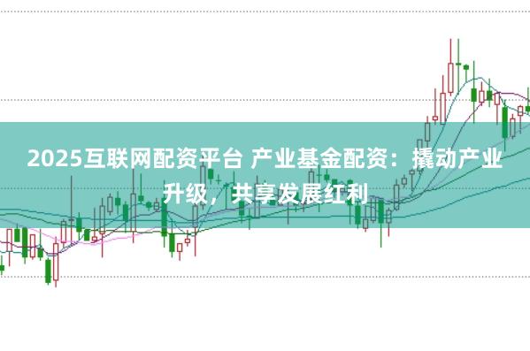 2025互联网配资平台 产业基金配资:撬动产业升级,共享发展红利