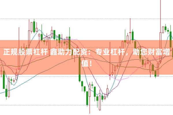 正规股票杠杆 鑫助力配资:专业杠杆,助您财富增值!