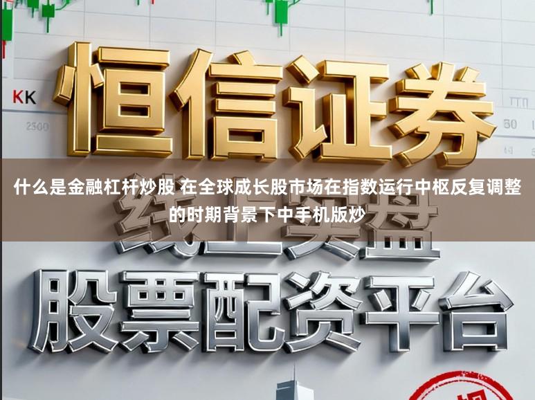 什么是金融杠杆炒股 在全球成长股市场在指数运行中枢反复调整的时期背景下中手机版炒