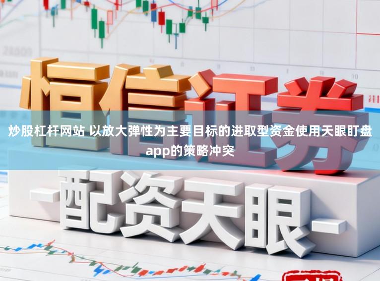 炒股杠杆网站 以放大弹性为主要目标的进取型资金使用天眼盯盘app的策略冲突
